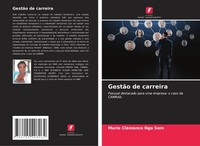 GestãO De Carreira Pessoal Destacado Para Uma Empresa: O Caso Da Camrail Som