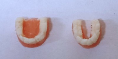 Dollhouse Dentures False Teeth Upper & Lower Full Set for Miniature Dentist Offi