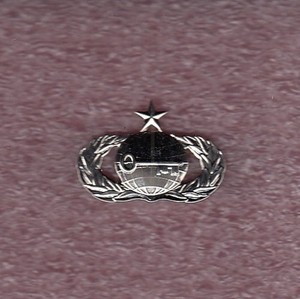 USAF Air Force Senior Intelligence MI Stabrite ~1.75" fullsized badge c/b
