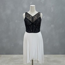 Max and Cleo Coquette Soft Girl Lace Dress Pleated Skirt Princesscore Elegant