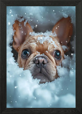 Bulldog francese cucciolo di neve incorniciato poster arte da parete quadro stampa su tela
