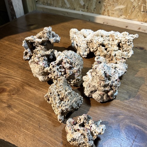 6 Dry Reef Rock Ocean Natural Coral Aquarium Base Rock aquariums deco 7.6 Lb