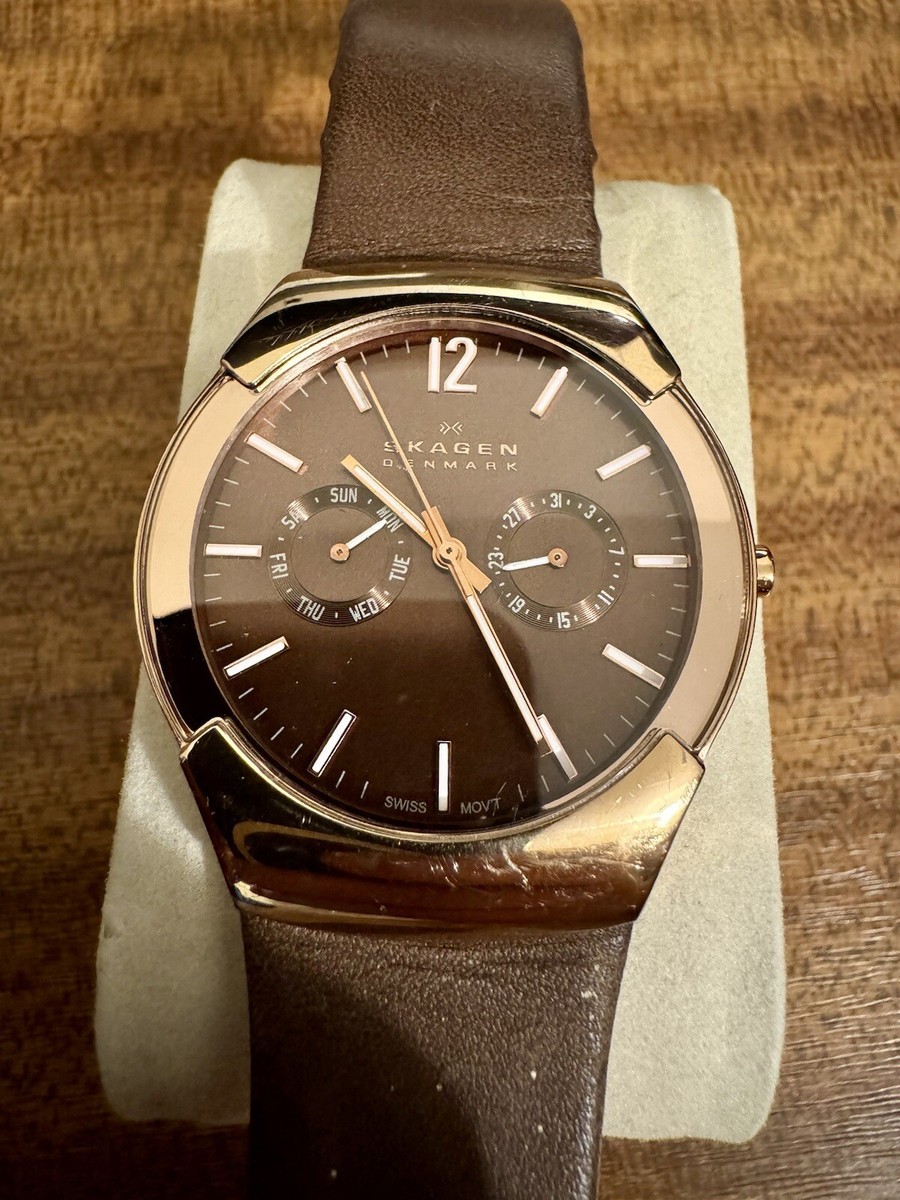 Skagen Day Date Men's Rose Gold Swiss Quartz Watch