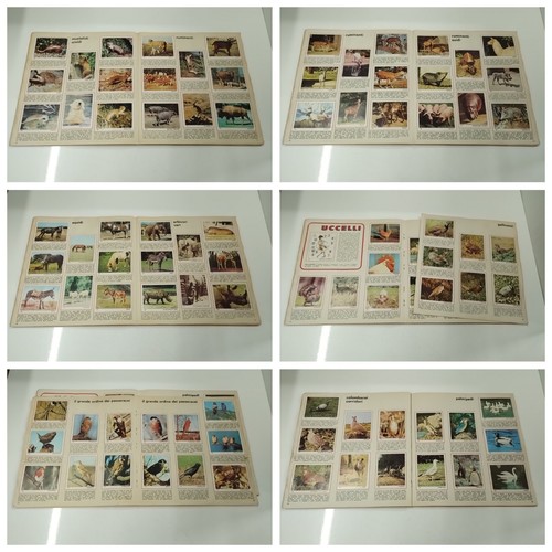 ALBUM FIGURINE PANINI - IL MONDO DEGLI ANIMALI - COMPLETO - 第 23/24 張圖片