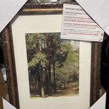 12x16 Vintage Picture Frame, Ornate Antique Bronze 12x16 Glass Mat 8.5x11 Sealed