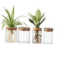 Glass Propagation Stations for Plants -Desktop Flower Vases,Propagation 4