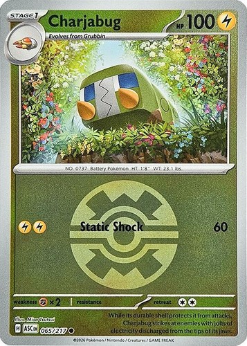 Charjabug (Quick Ball) 065/217 Reverse Holofoil ME: Ascended Heroes NM