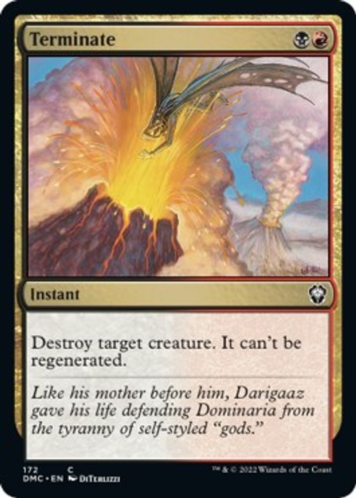 Terminate - DMC - 172 NM/LP