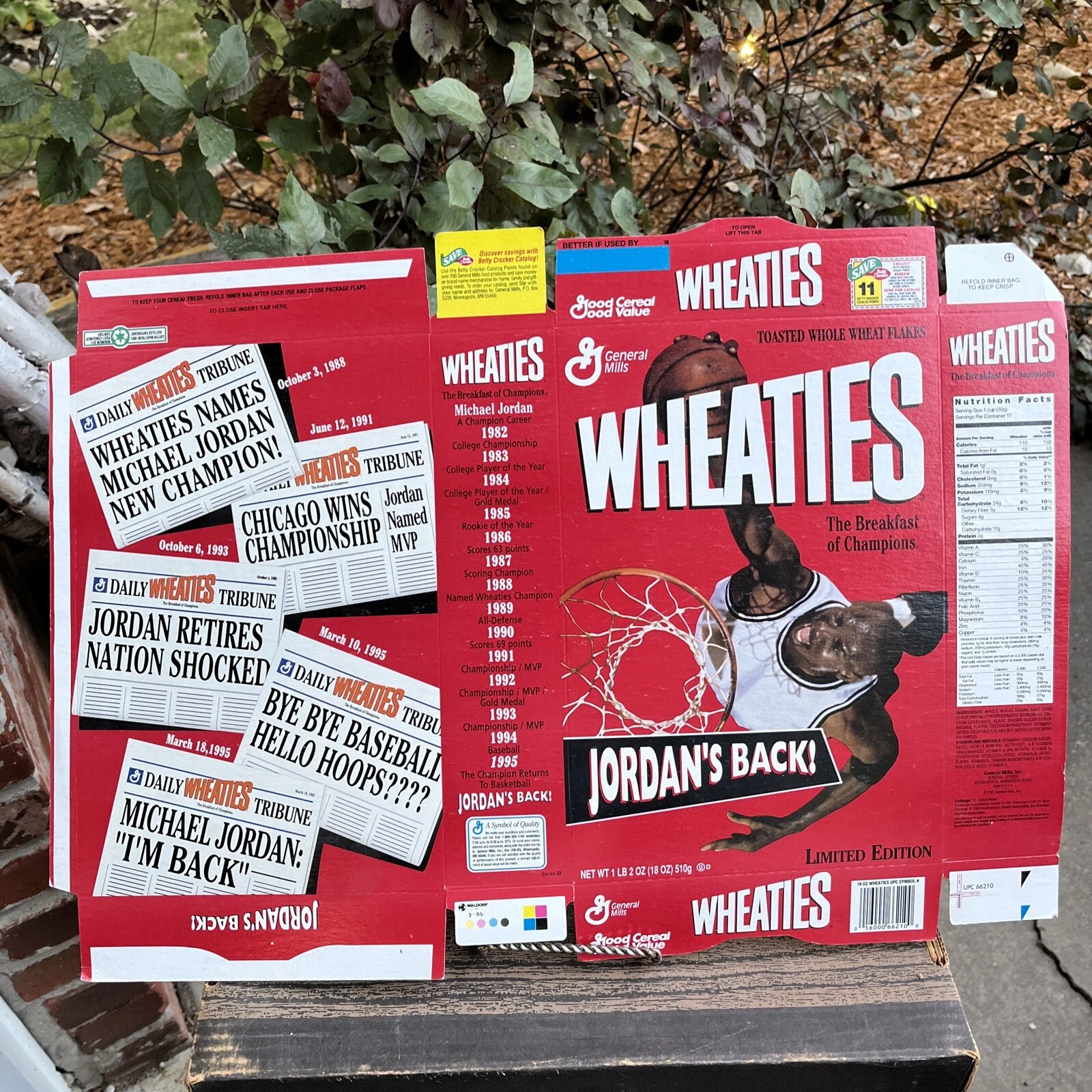 Michael Jordan Back Chicago Bulls 1995 scatola di grano non assemblata 23"x16" piatta