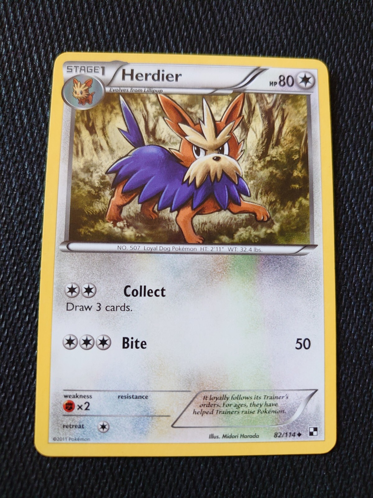 Pokémon TCG Herdier Black and White 82/114 Regular Uncommon NM