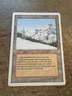 1x Taiga Revised Edition MTG  -  MP