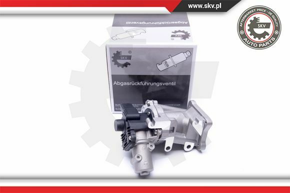 Esen SKV Agr-Ventil Elektrisch FüR Ford S-Max Galaxy Mondeo IV Turnier 14SKV171-image