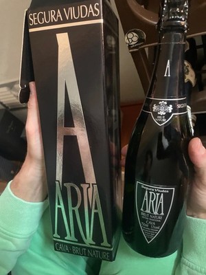 Segura Viudas ARIA Cava Brut Nature 0,75 l spanischer Premium-Cava & Geschenkbox