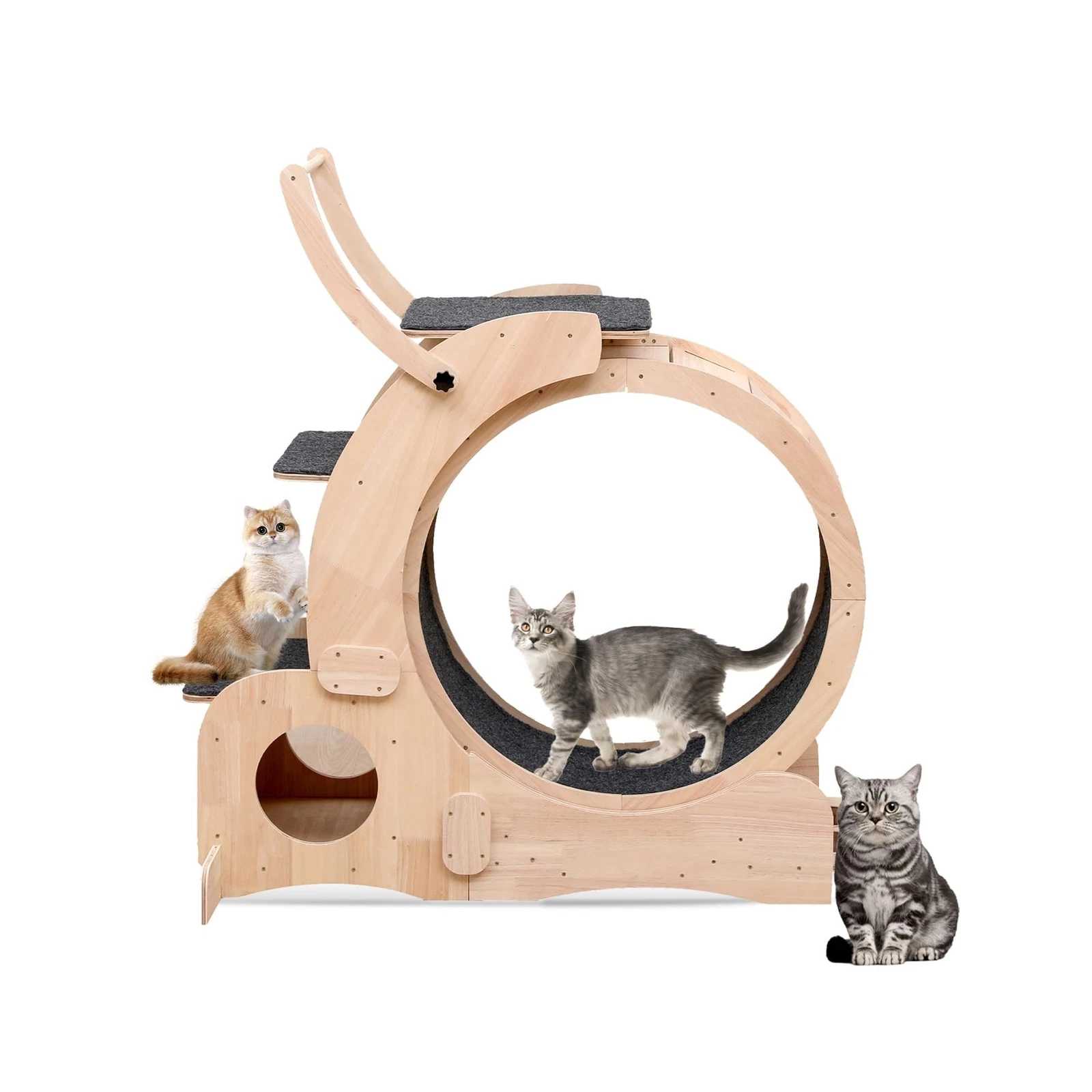 Cat Wheel 7-in-1 Upgraded Exercise Treadmill for Indoor Cats，Cat Treadmil