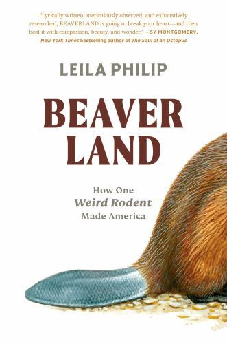 Discover Beaverland: How One Rodent Shaped America by Philip Leila in Hardcover