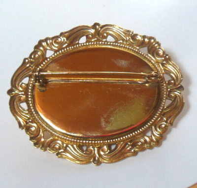 Double Face Pink Resin Cameo Brooch 2