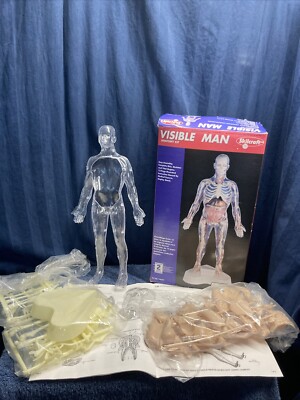 希少 Skil Craft Visible Man Anatomy Kit Skilcraft Visible Man Anatomy Kit : Amazon.in: Toys & Games