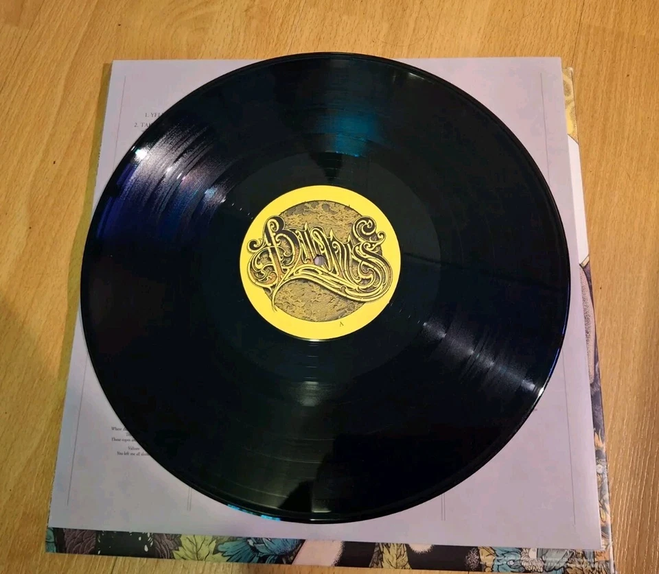 Baroness Yellow Album Vinyl Lp Autographed - Image 4 of 4