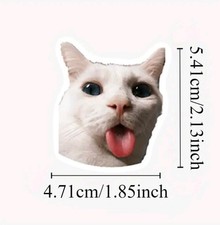 50 Cute Funny CAT Stickers Assorted Silly Kitty Scrapbook Teachers