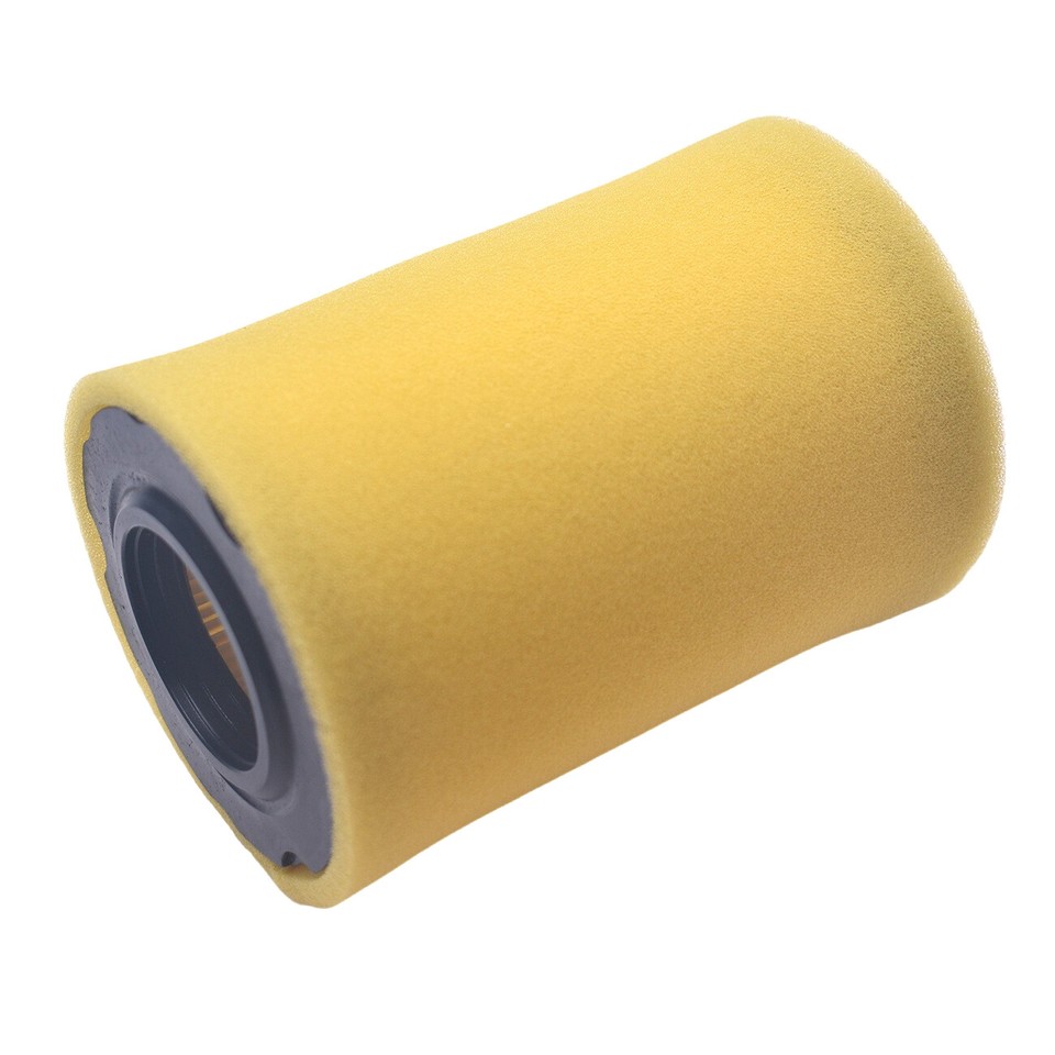 Air Filter Fuel Filter Fit Briggs & Stratton 796031 590825 Intek 15.5hp