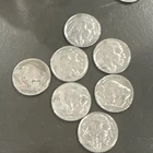 6 rolls of Buffalo Nickels Roll Of 40 Coins WITH DATES!!