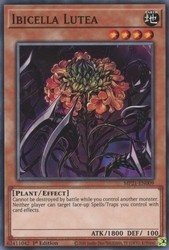 Ibicella Lutea MP21-EN009 Common 1st Edition Yu-Gi-Oh