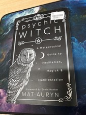 Psychic Witch A Metaphysical Guide to Meditation, Magick & Manifestation