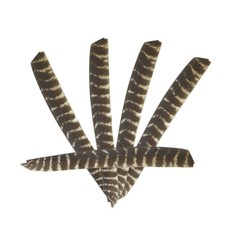 24pcs Truthahnfedern Naturfedern Volle L&auml;nge Pfeilfedern Bogenschie&szlig;en Fletches