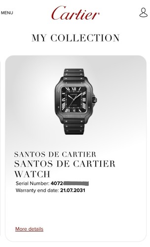 Cartier Santos Large Automatic ADLC, WSSA0039 4072. Warranty 2031. RRP £7950 - Picture 2 of 23