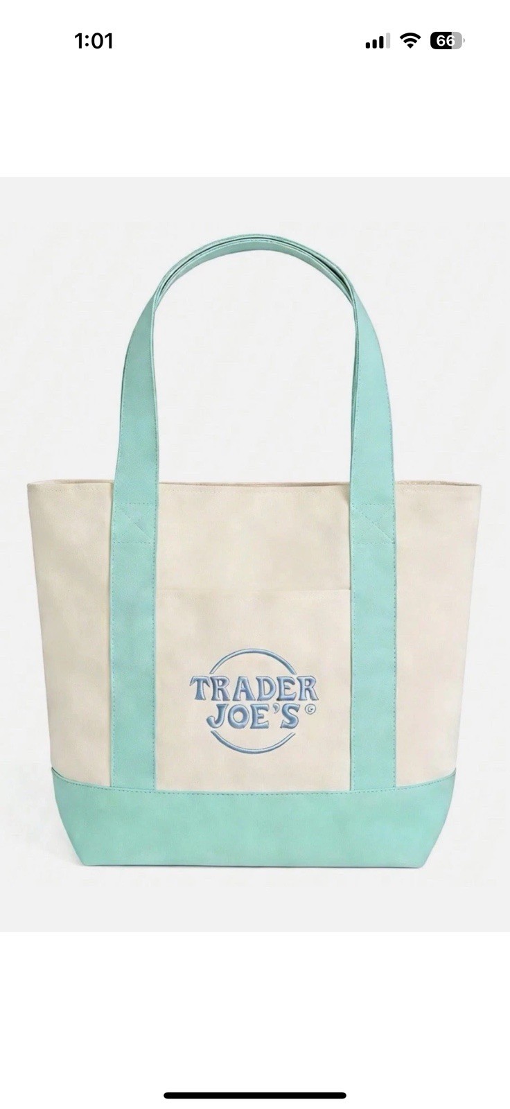 Trader Joe’s Mini Tote Bag Pastel Colors Green Edition