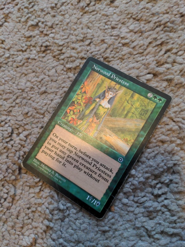 MTG - Norwood Priestess x1 - Portal: 2nd Age -Magic the Gathering -FREE SHIPPING - Image 4 of 4