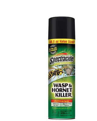 #ad 18.5 oz. Wasp and Hornet Killer Aerosol Spray Insect Killer $7.85