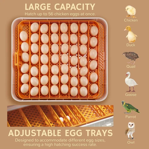 Eggs Incubator Chicken Quail Hatcher Incubators Automatic/Manual Hatching Eggs - Picture 71 of 78