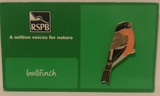Bullfinch RSPB Bird Pin Badge Green AMVFN Card Wildlife Nature Enamel Gold Back