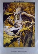 Herr der Ringe -  Treebeard, Poster 89 x 61 cm
