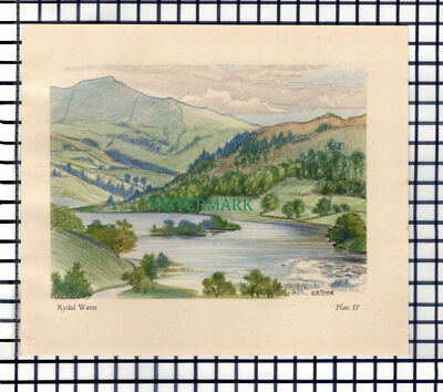 (7316) Rydal Water Lake District - 1946 Schnitt / Druck