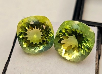 Pair Tourmaline Bi-Color Cushion 15+ Ct Natural Loose EGL Certified Gemstone