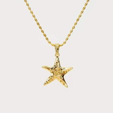 Beach Starfish Necklace, Earrings