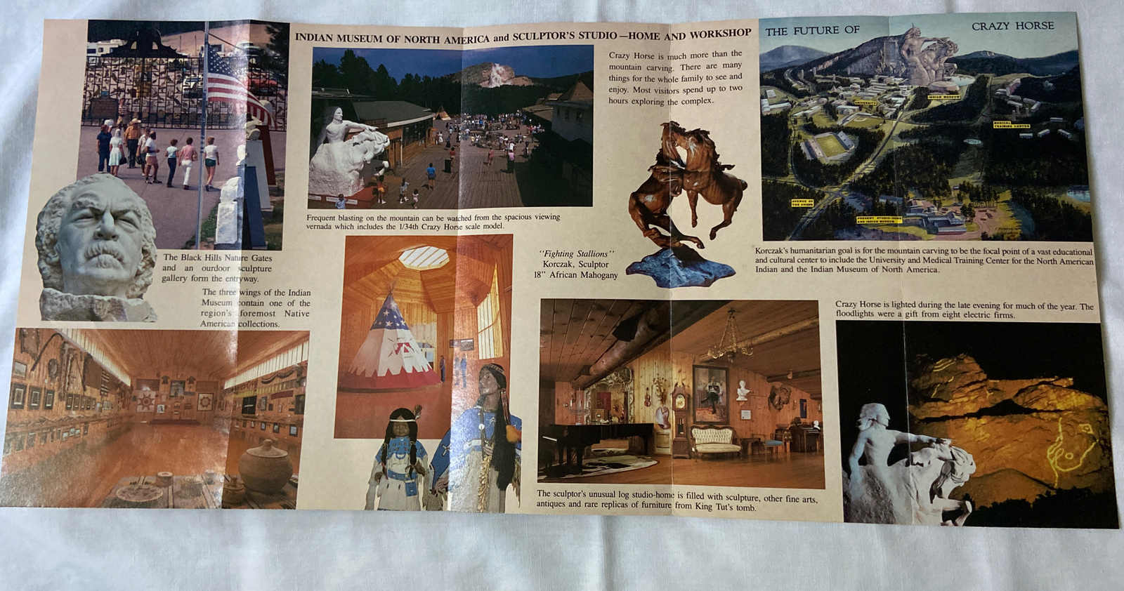 Picture 8 of 14