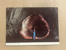 Postcard Hawaii Volcanoes National Park Thurston Lava Tube Vintage HI PC