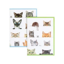 Caspari Assorted Boxed Note Cards, Kitties - Box of 8 (84608.46)