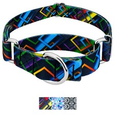 Country Brook Petz Martingale Dog Collar - Abstract Collection