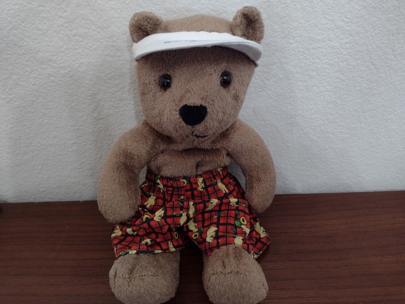 Brown Teddy Bear ~Plush Toy 13" with Build A Bear Outfit