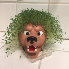 LA Kings Mascot Bailey Buddies Lion 🦁🏒 72 Chia Pet Head Los Angeles NHL Hockey
