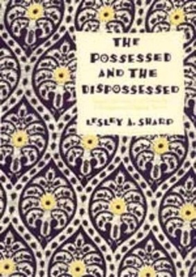 The Possessed and the Dispossessed: Spirits, Identity, and Power in a Madagascar