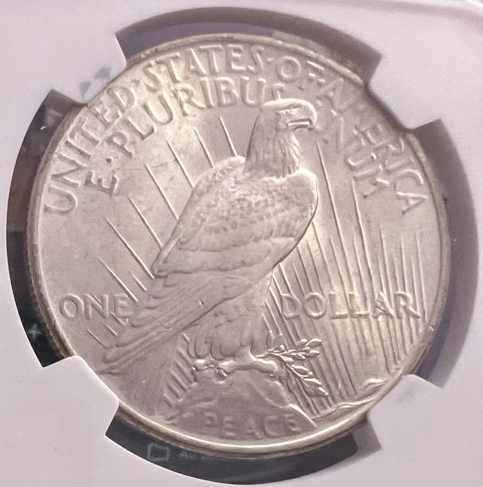 🪙 Dólar de Plata Paz 1925 - NGC MS65 - Hermosa Moneda de Alto Grado Foto 2 de 3