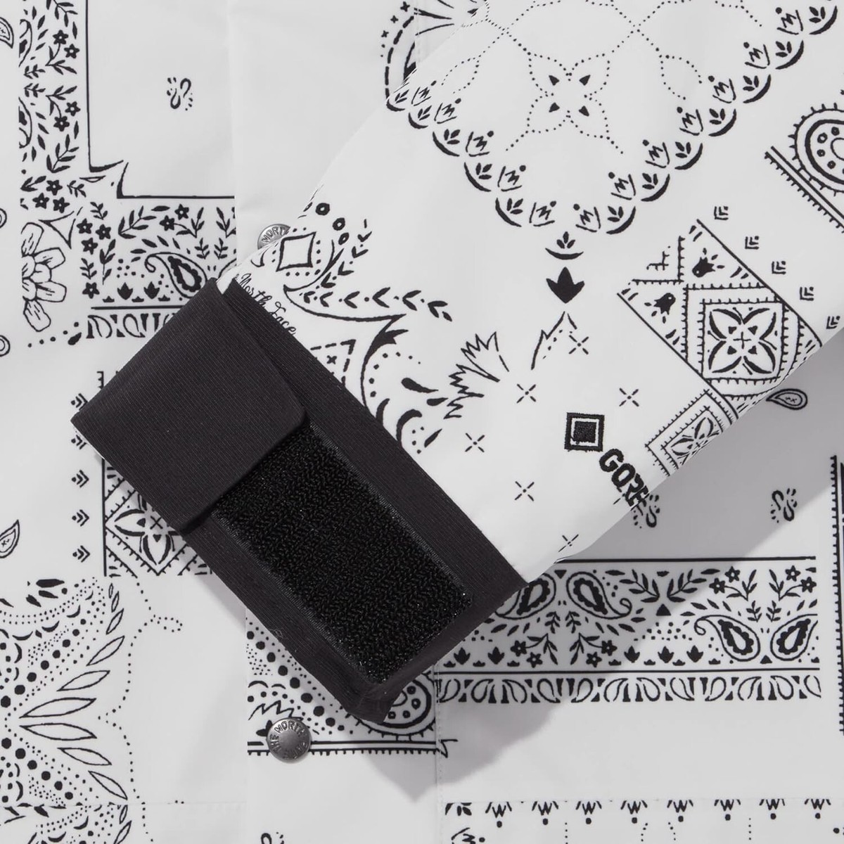 The North Face Novelty ECO GTX Gore-tex Mountain Jacket White  