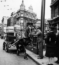 Milk Cart restive horse in Shafts taken in Holborn June 1946 Historic Old Photo