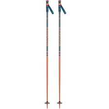Rossignol Stove Ski Poles (Teal/Brick)