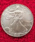 2003 Silver American Eagle (Walking Liberty) 1 oz Fine Silver Dollar Coin Cased